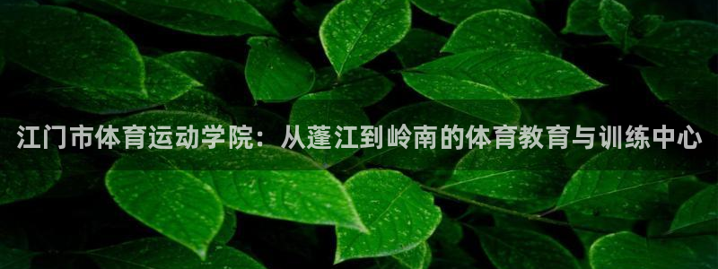 海南JJB竞技宝官网下载:江门市体育运动学院:从蓬江到岭南的